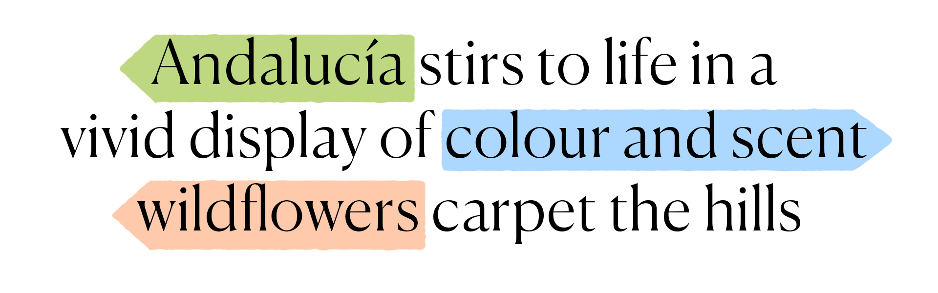 branded-text-sicily-wonders.png branded-text-sicily-wonders.png