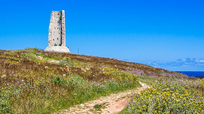Wildflowers-in-spring-time-near-Torre-del-Serpe.jpg Wildflowers-in-spring-time-near-Torre-del-Serpe.jpg