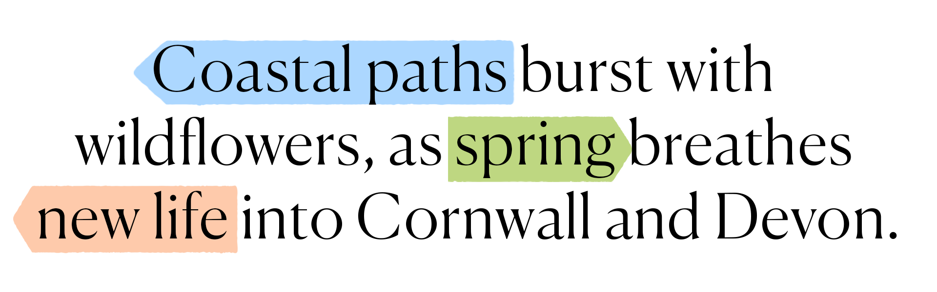 branded-text-pathways-pug;ia.png branded-text-pathways-pug;ia.png