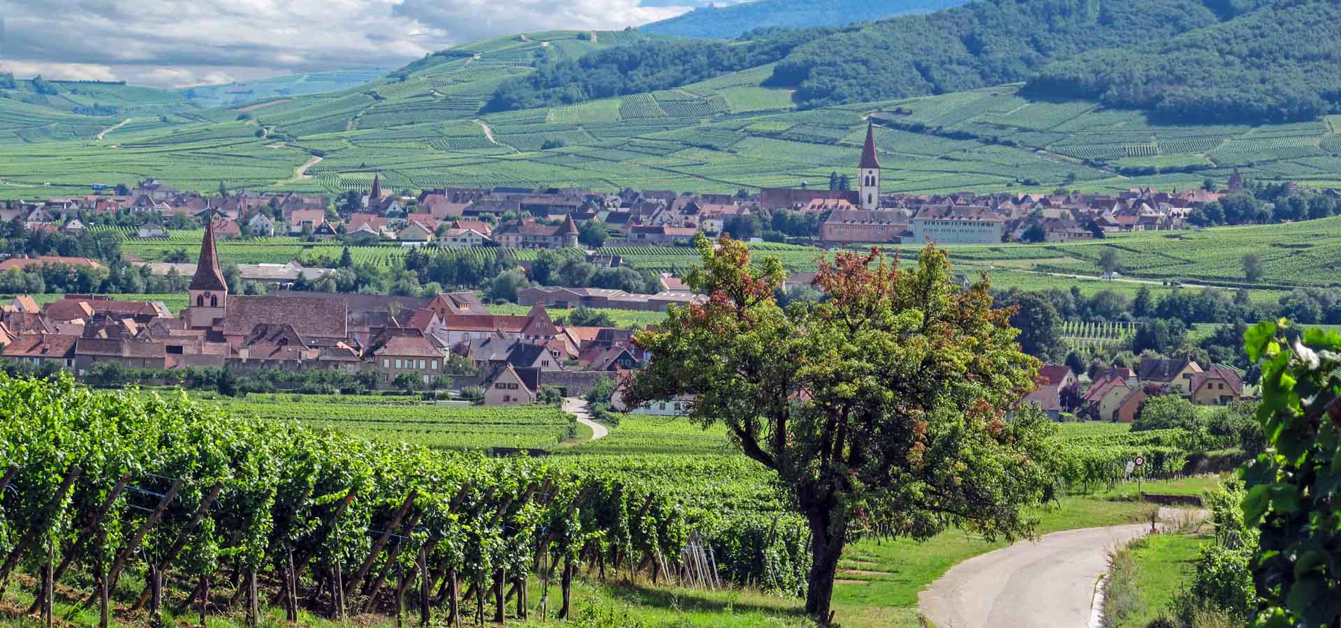 Cycling holiday in Alsace – Cycling in Alsace | Inntravel