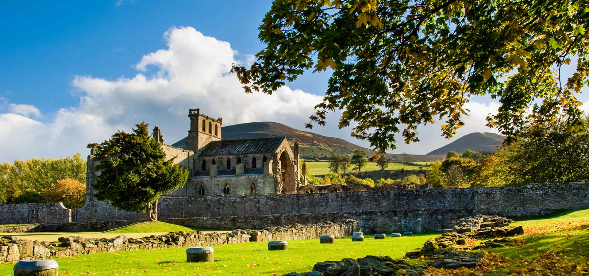 can you bury your dog in your garden in scotland