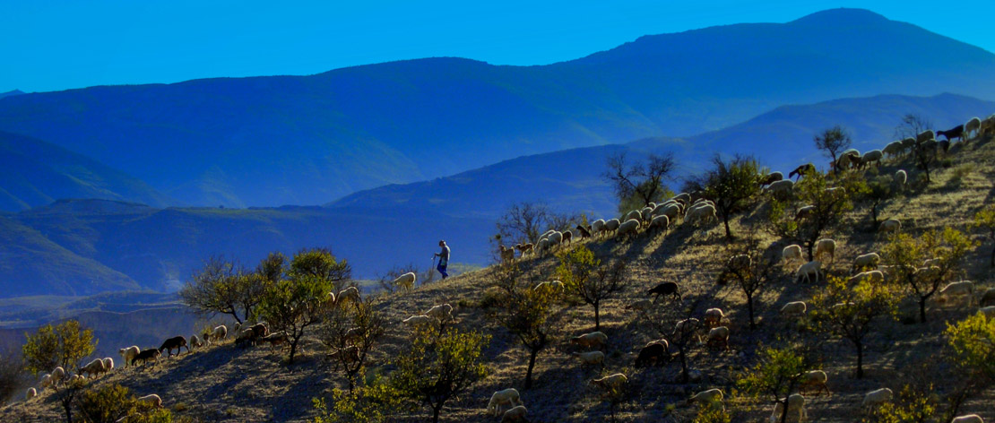 Walking holidays in outlet january