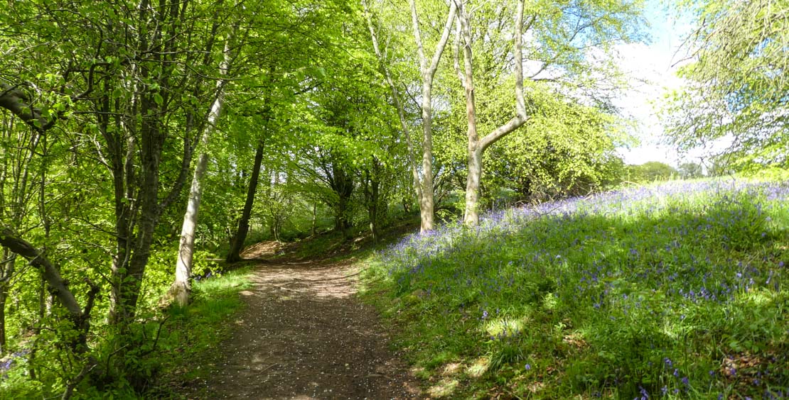 How to get to Lady's Walk in Fife by Bus or Train?