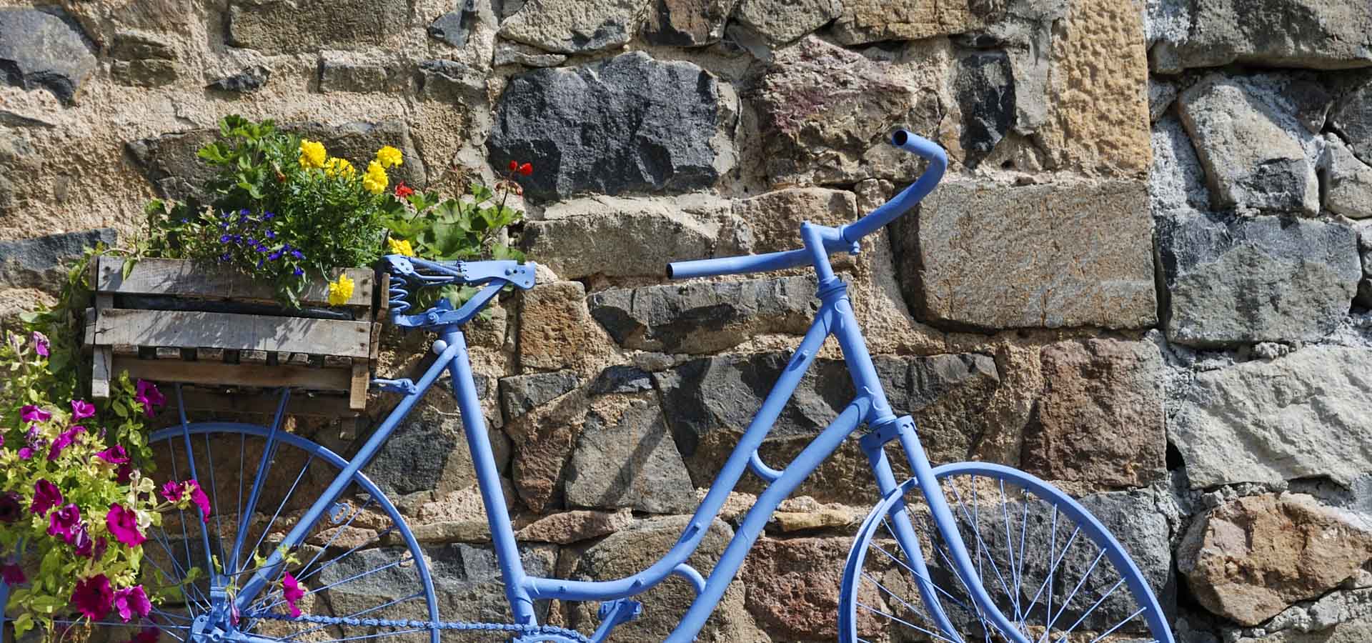 French cycling store