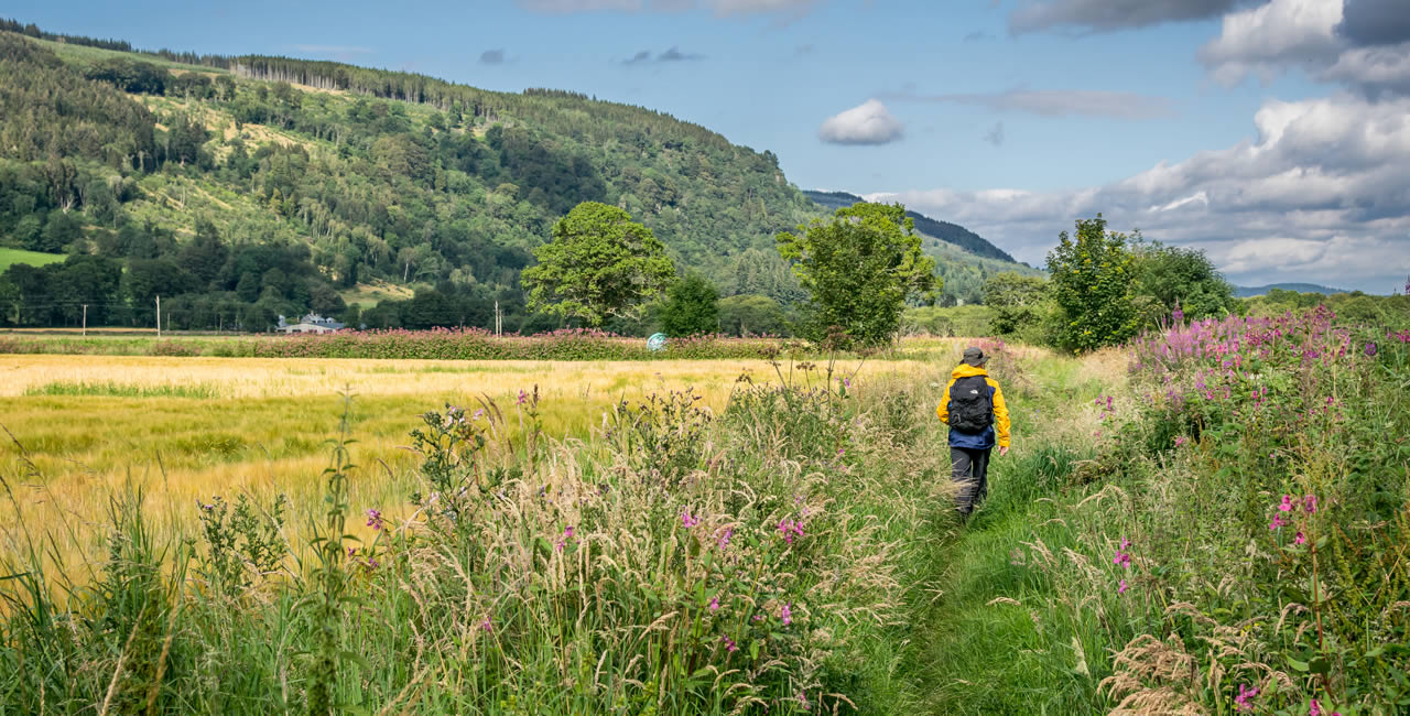 Walking in Scotland